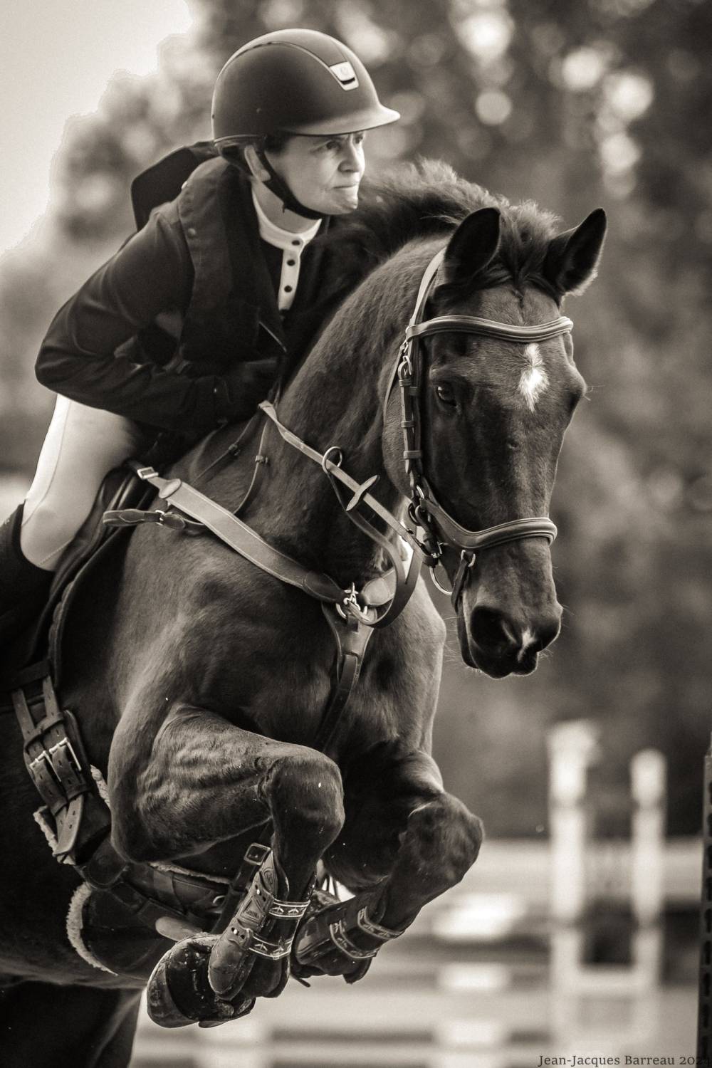 cavalière