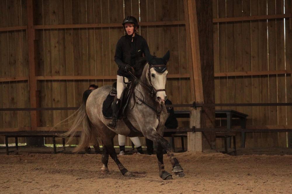 dressage à Cantenay-Épinard
