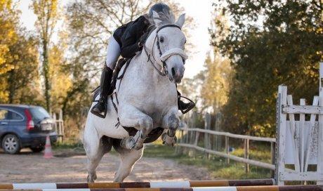 saut d'obstacle 2