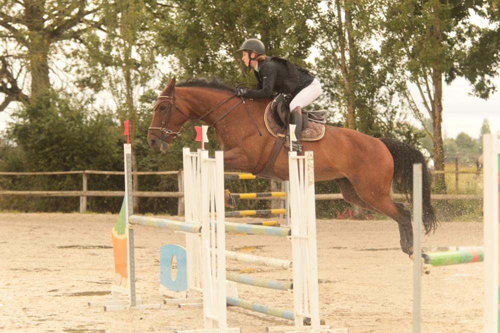 saut d'obstacle 3